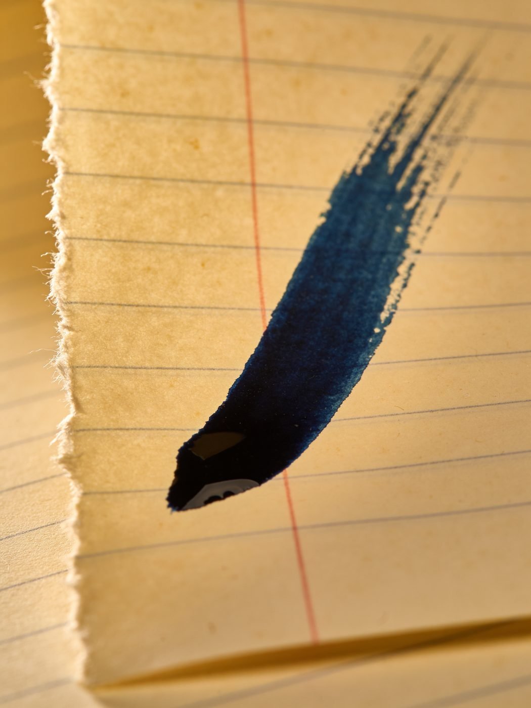 A single confident ink wash stroke across torn-edge ruled paper in warm low light
